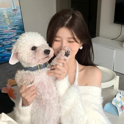 青春火花封面