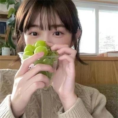 我们的田野封面