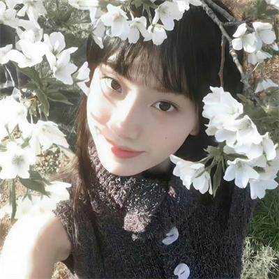 白云之下封面